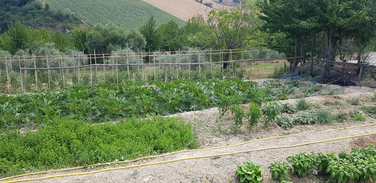 Agriturismo Fiore Di Campo Fermo Ngoại thất bức ảnh